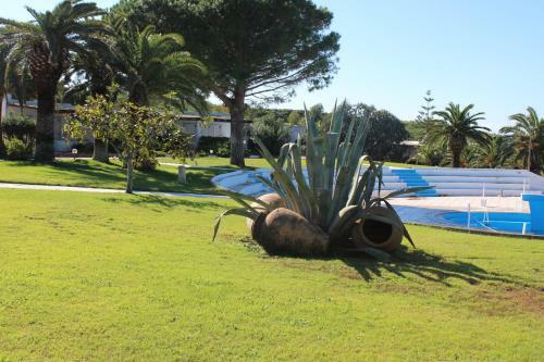 Hiera House Apartments