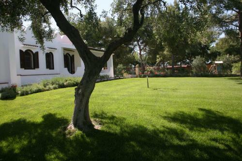 Villaggio Idra