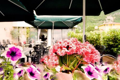 Hotel Albergo Giardino