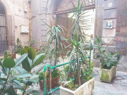 Bed & Breakfast Royal Dante