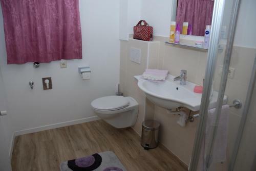 Apartamento Appartment Gsolerhof