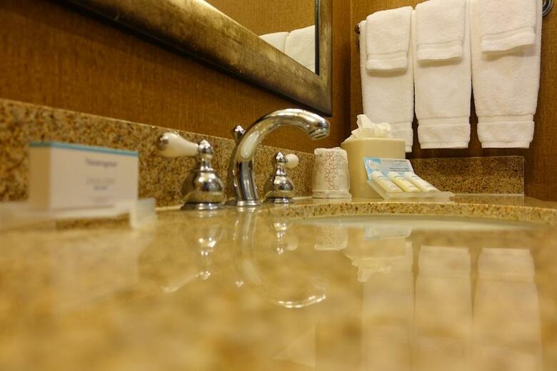 Hotel Hilton Garden Inn Houston/pearland