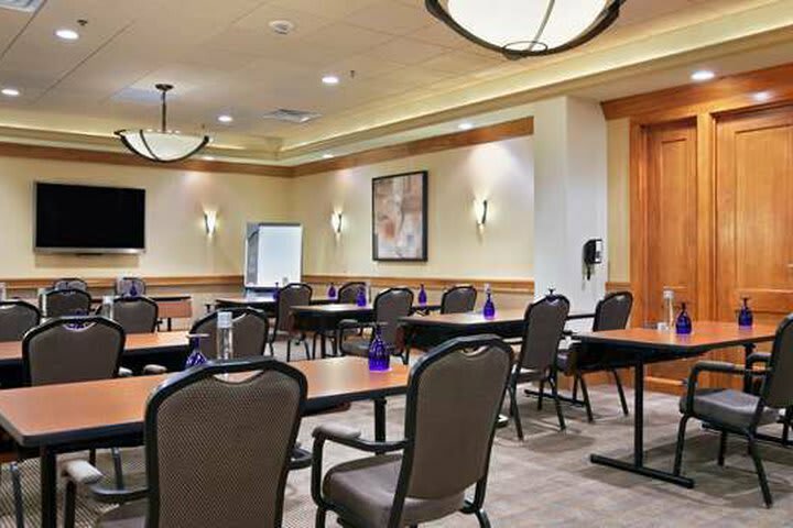 Hotel Hilton Suites Chicago/oakbrook Terrace