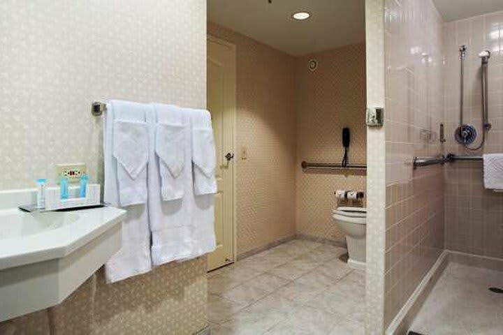 Hotel Hilton Suites Chicago/oakbrook Terrace