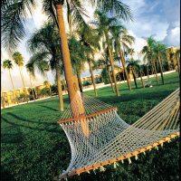 Hotel Safety Harbor Resort And Spa