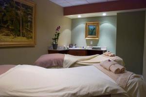 Hotel Safety Harbor Resort And Spa