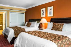 Hotel Safety Harbor Resort And Spa