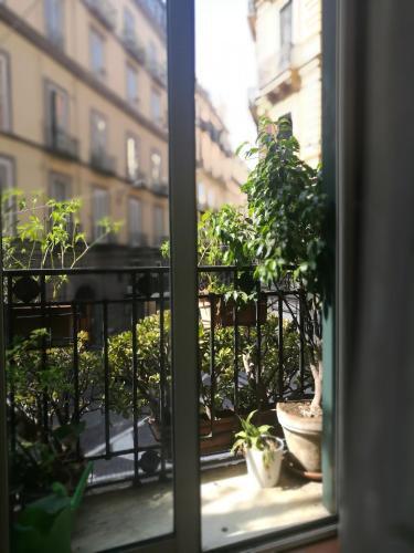Bed & Breakfast Morelli 49