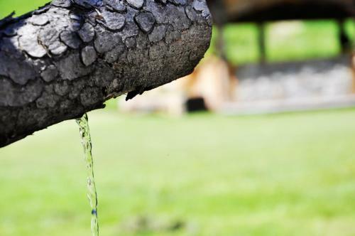 Apartamento Pension Rungg