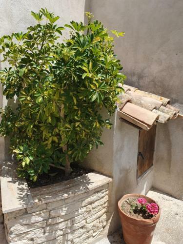Hostal Case Vacanze Stabile