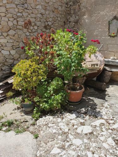 Hostal Case Vacanze Stabile