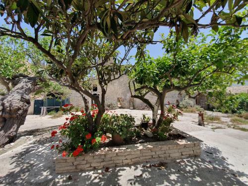Hostal Case Vacanze Stabile