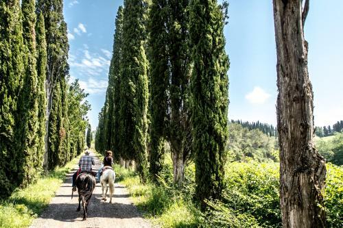 Agroturismo Agriturismo Pieve Sprenna