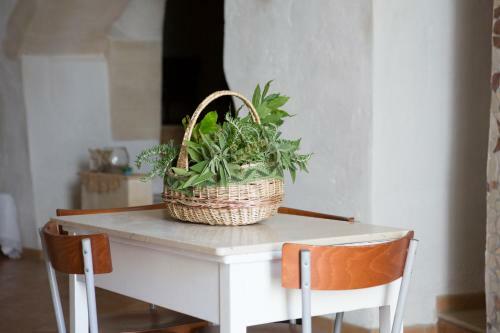Apartamento Casa Vetere