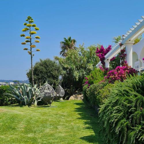 Hotel Albatros