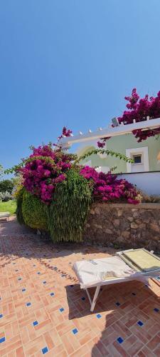 Hotel Albatros