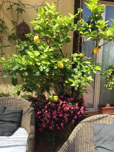 Bed & Breakfast Terrazza Duomo