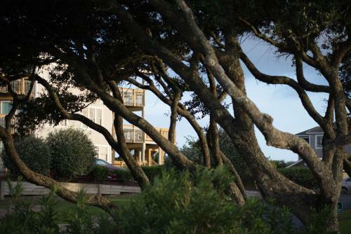 Hotel Peppertree Atlantic Beach