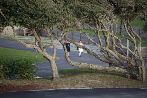 Hotel Peppertree Atlantic Beach
