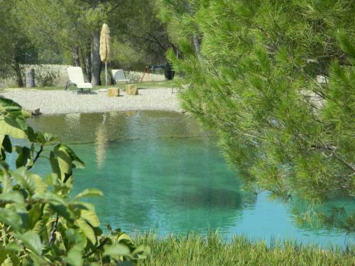 Agroturismo Agriturismo Palazzo Conti A