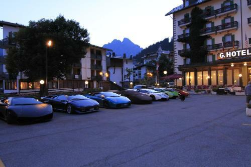 Hotel Des Alpes