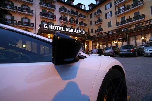Hotel Des Alpes