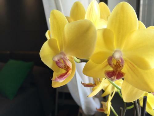 Apartment Pompei Wellness