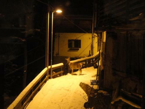 Agroturismo B&B Mas Di Zonadi