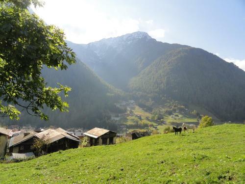 Agroturismo B&B Mas Di Zonadi