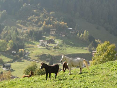 Agroturismo B&B Mas Di Zonadi