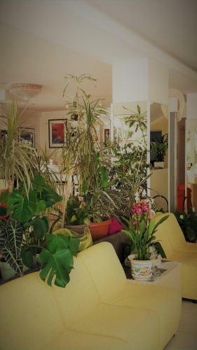 Hotel Imperiale