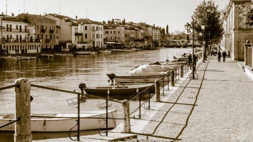 Hotel Venezia Park