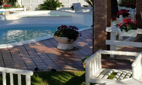 B&B Paradise