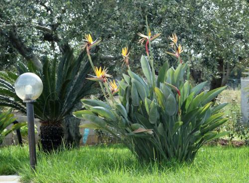 Casa Vacanze Margherita