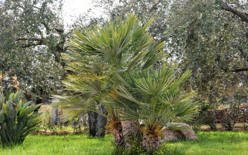 Casa Vacanze Margherita