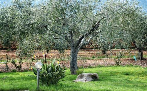 Casa Vacanze Margherita