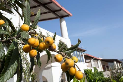 Aparthotel Hotel Residence Mendolita