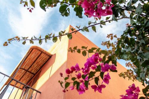 Aparthotel Hotel Residence Mendolita