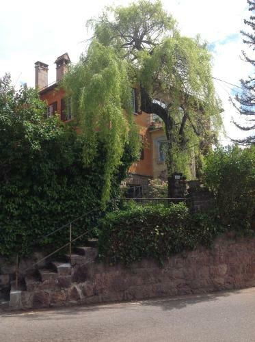 Cavalese Mountain Luxury Apartment
