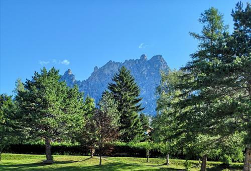 Hotel Myriam