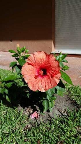 Apartamento Sun And Sea