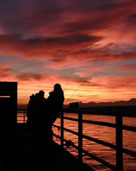 Hotel Best Western Edmonds Harbor Inn