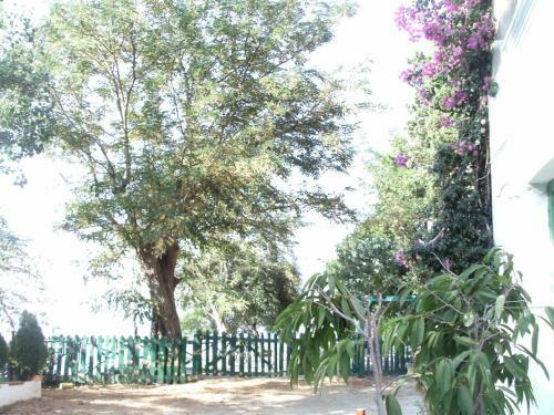 Apartamento Residenza Salomone