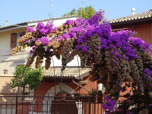 Apartamento Appartamenti Carla
