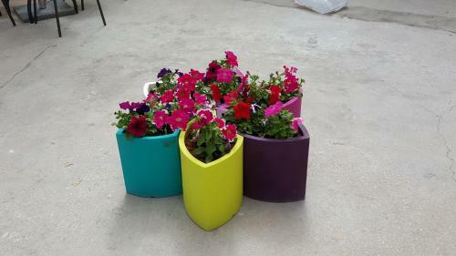 Apartamento Appartamento Nonna Lina