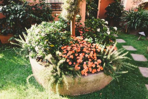 Hotel Albergo Minerva