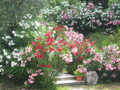 Apartamento Residence Gardasee