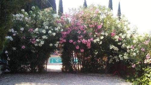 Apartamento Residence Gardasee