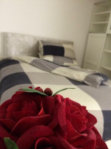 Apartamento Maison Rose