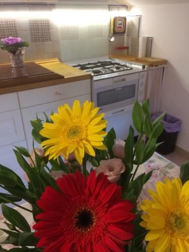 Apartamento Maison Rose